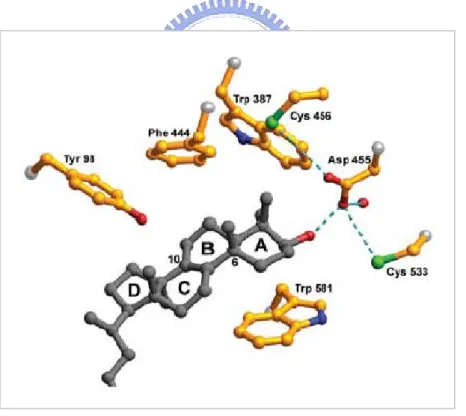 圖 1-13 : Asp455 與 Cys456 及 Cys533 的氫鍵拉扯效應幫助 Epoxide 誘導開環; Trp387、Phe444、Trp581 穩定 A 環形成與 B 環