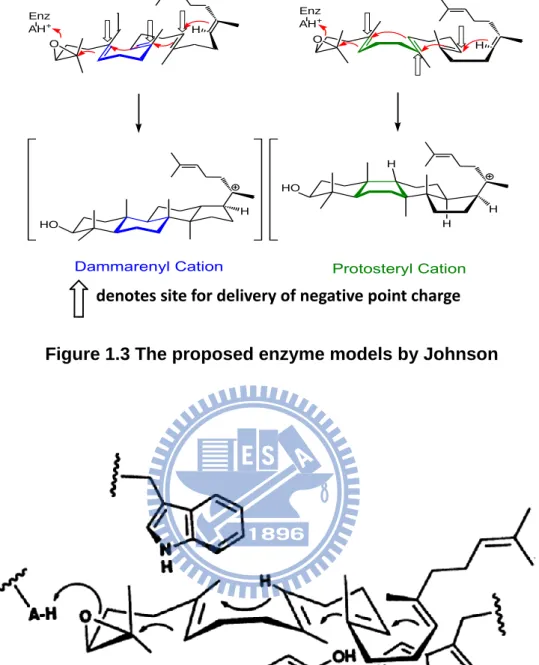 Figure 1.4 Griffin’s hypothesis model for involvement of electron-rich  aromatic side chains from Trp and Tyr residues in the cyclization of  oxidosqualene to the protosteryl cation