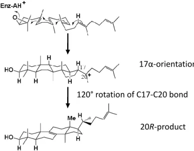 Figure 1.12 The evidence for the stereochemistry of protosteryl cation  intermediate at C17 preferring a β- rather than an α- orientation at C-17  position by incubation of substrate analogue with OSC
