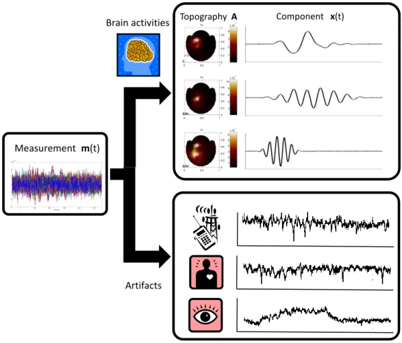 Figure 2.2: Independent Component Analysis. MEG/EEG signals are often corrupted by additive noises including background brain activities, heartbeat, eye-blinking, other  elec-trical muscle activities and the environment noises