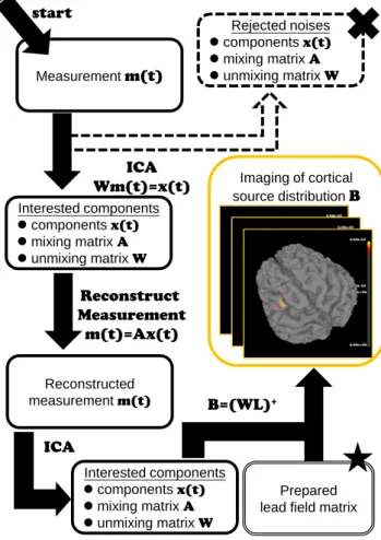 Figure 3.1: Work flow - lead field vector space projection for spatiotemporal imaging of Independent Brain Activities Standard ICA is applied as a preprocessing procedure for picking features and removing uninterested brain activities or other interferes