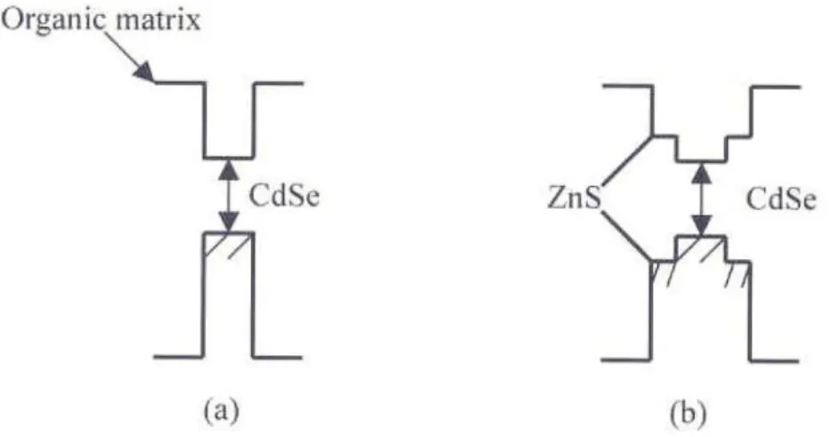 圖  7 為  CdSe  核結構與  CdSe/ZnS 核殼結構之能隙示意圖 [27] 2-2-2    有機分子表面修飾 