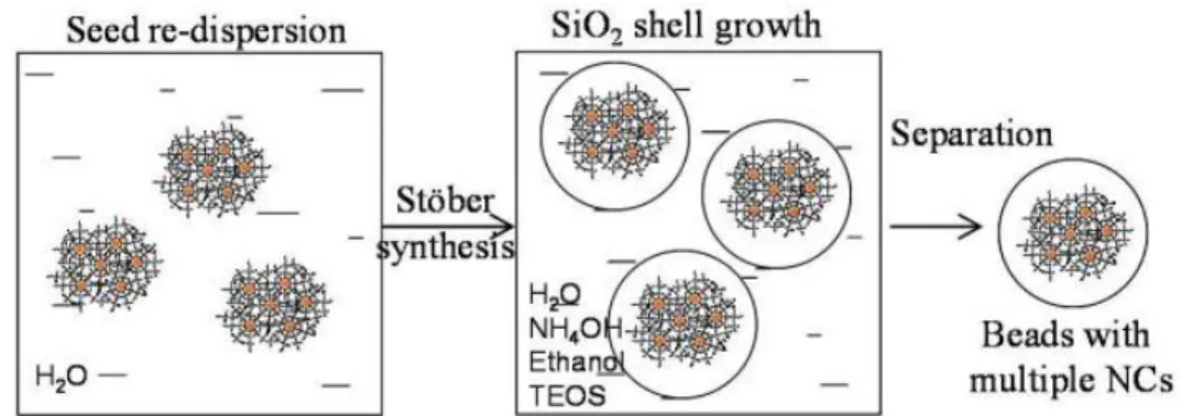 圖  33  利用 Stober method 製備 CdTe@SiO 2 量子點示意圖 [41]