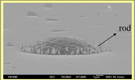 Figure 3-2 The SEM images of etching result, the micro lens is fabricated on the  basic structure     Micro lensplanarMicro lensplanar    
