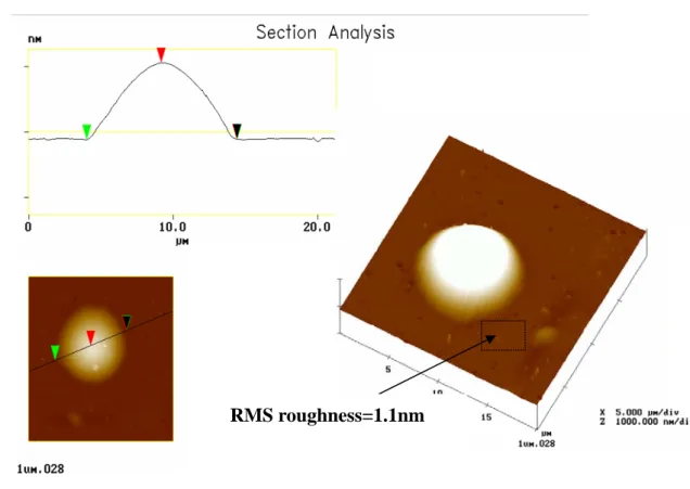 Figure 3-7 The AFM image of micro-lens 