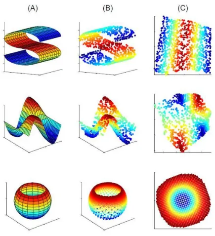 Figure 3.7: The example of nonlinear dimensionality reduction as illustrated for data (B) sampled from a two dimensional manifold (A)