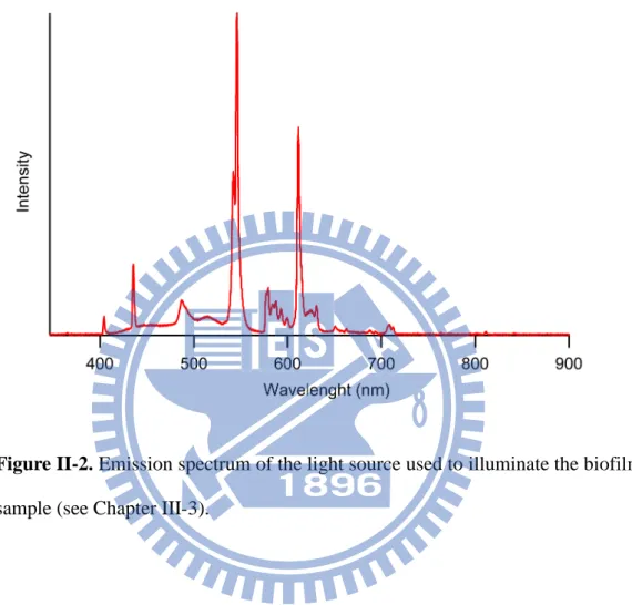 Figure II-2. Emission spectrum of the light source used to illuminate the biofilm  sample (see Chapter III-3)