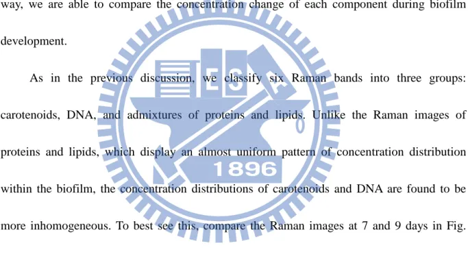 Figure III-5 shows the dependence of the averaged Raman intensities of the three  components (carotenoids, DNA, and proteins and lipids) on biofilm development time