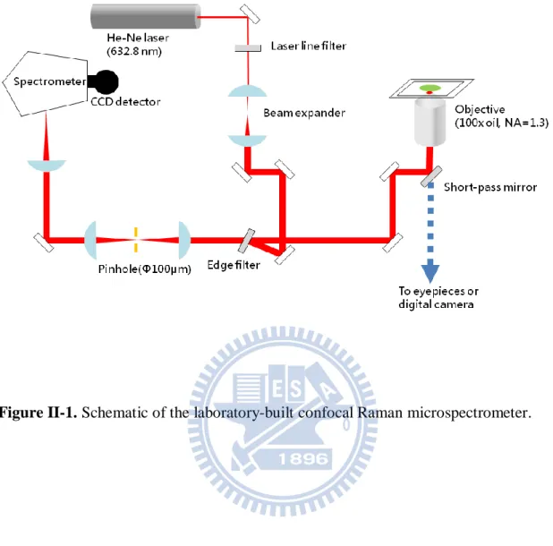 Figure II-1. Schematic of the laboratory-built confocal Raman microspectrometer.