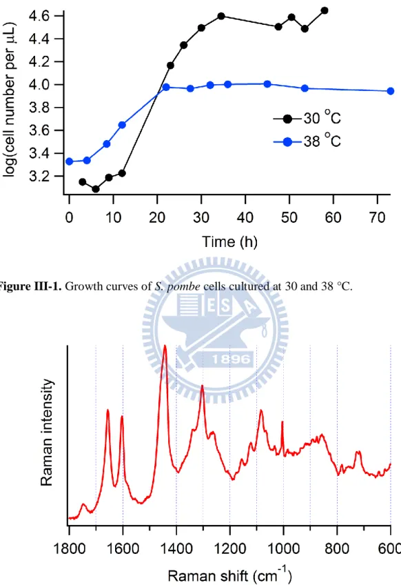 Figure III-1. Growth curves of S. pombe cells cultured at 30 and 38 °C. 