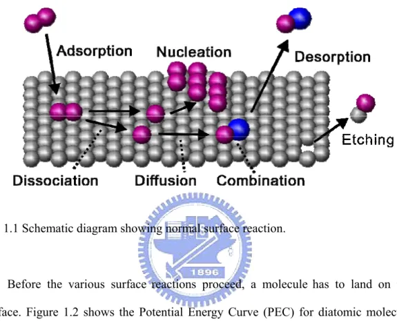 Fig. 1.1 Schematic diagram showing normal surface reaction. 