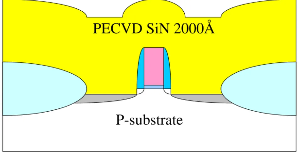 Fig. 2-3(j)    PECVD tensile SiN deposition. 