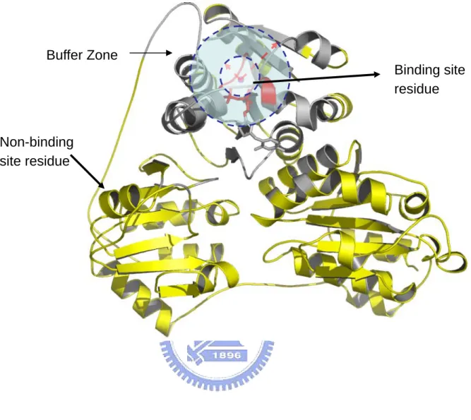 Figure 8  Non-binding  site residue  Binding site residue Buffer Zone 