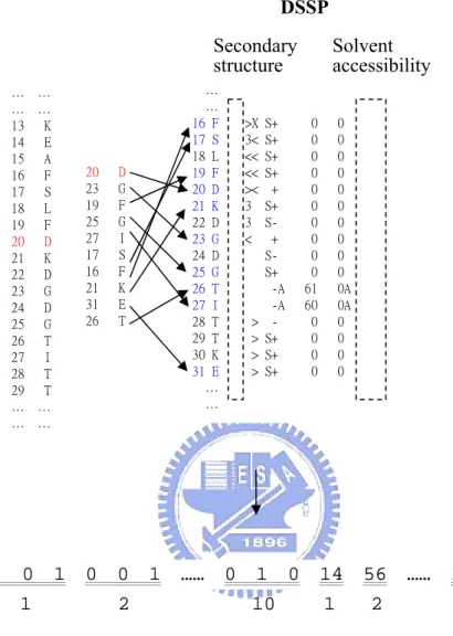 Figure 10    …    …  16 F  H &gt;X S+     0   0   12   17 S  H 3&lt; S+     0   0   73   18 L  H &lt;&lt; S+     0   0  100   19 F  H &lt;&lt; S+     0   0   45   20 D    &gt;&lt;  +     0   0   14   21 K  T 3  S+     0   0  113   22 D  T 3  S-     0   0  