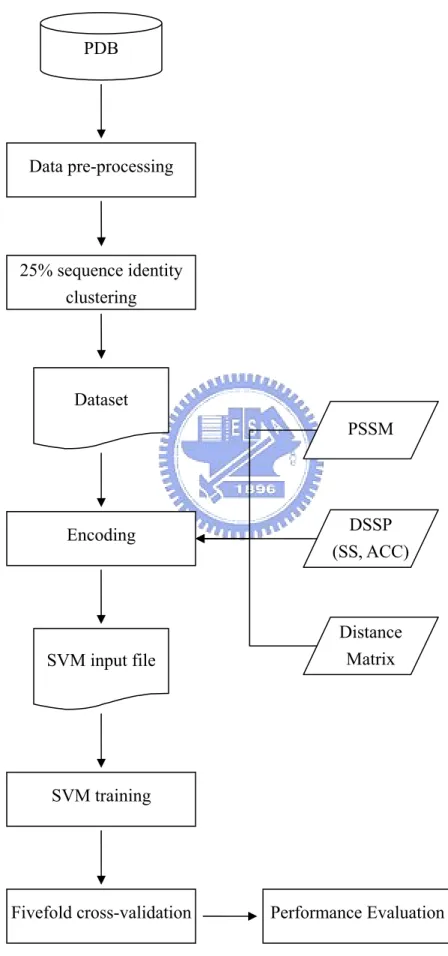 Figure 12  PDB  Data pre-processing  Dataset  Encoding  SVM input file  SVM training  Fivefold cross-validation DSSP  (SS, ACC)PSSM DistanceMatrix 25% sequence identity clustering  Performance Evaluation 