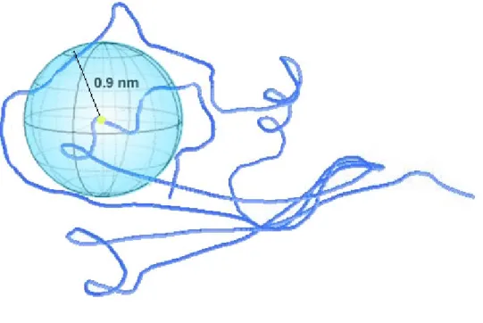 Figure 1. The Structure-Only Method illustration. To calculate the probability of occurrence  of a specific amino acid within the 9 angstroms sphere centered at the C α  atom of the mutant  residue