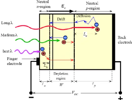 Figure 2.2-1 Illustrations of the carrier generation, carrier diffusion and carrier drift in  solar cell 