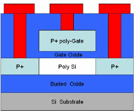 Fig. 2-1 Cross-sectional view of the test device. 