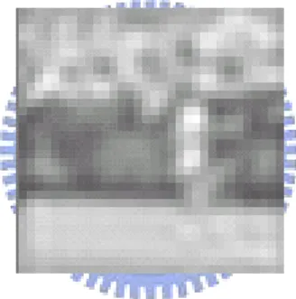 Figure 3.9 Result of coarsest level of curvelet coefficients 