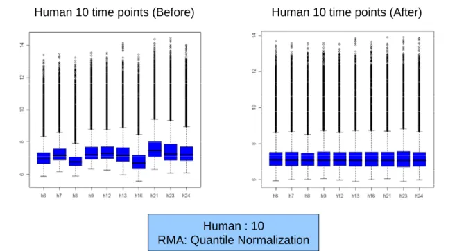 Figure 2.1 Normalization result of human data. 