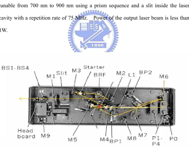 Fig. 3-2 The optical beam path within Coherent Mira-900. 