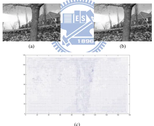 Figure 4.3 An example of results of implementing the optical flow analysis method.  (a) An image frame taken at time t