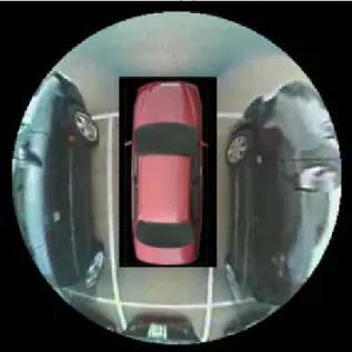 Fig. 2- 6: Seamless image with smooth illumination 