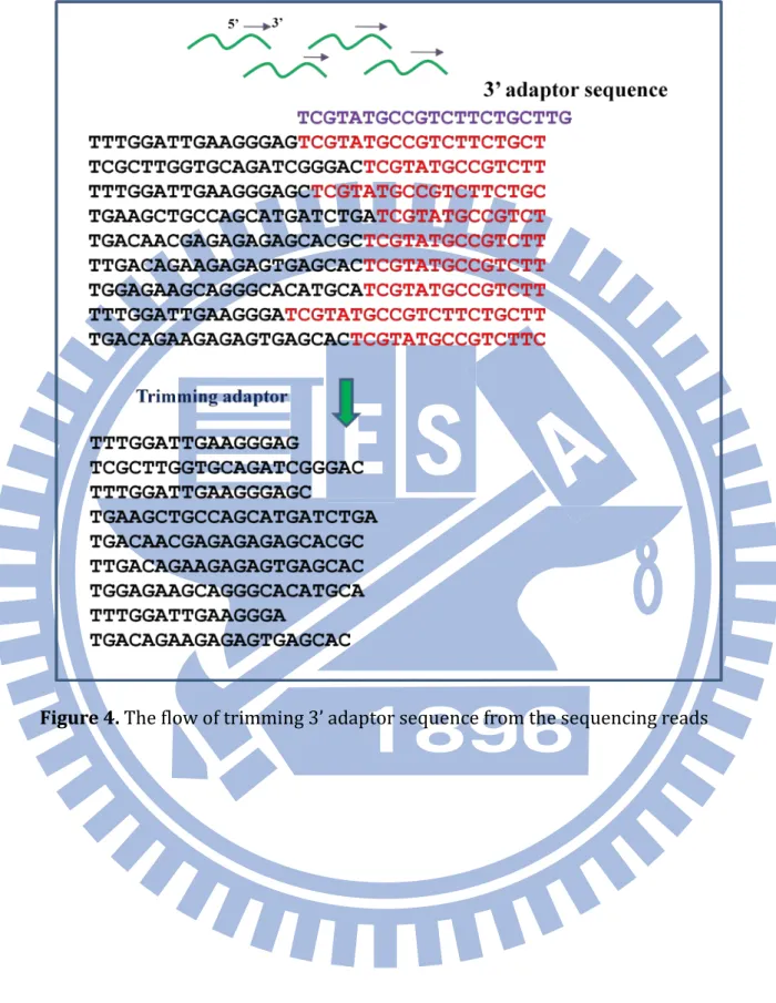 Figure 4. The flow of trimming 3’ adaptor sequence from the sequencing reads 