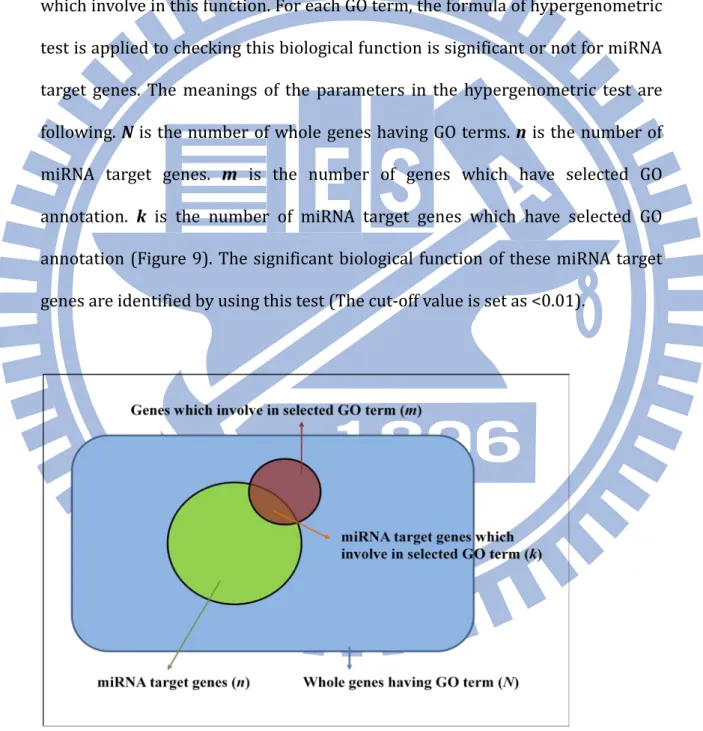 Figure 9. The intersection of hypergeomteric test in gene ontology enrichment  analysis 