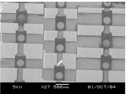 Figure 3-7: Lift-off patterned gold layer sticks well.  (4) Thermal stress 