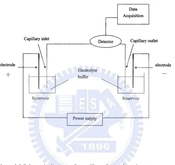Figure 1.1 Schematic diagram of a capillary electrophoresis system. 