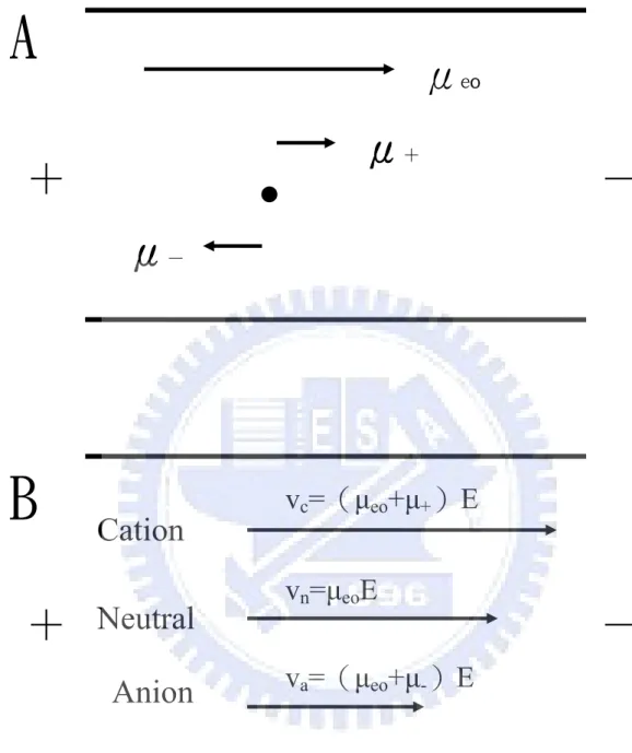 Figure 1.3 Electrophoretic mobility of analytes and electroosmotic flow.   