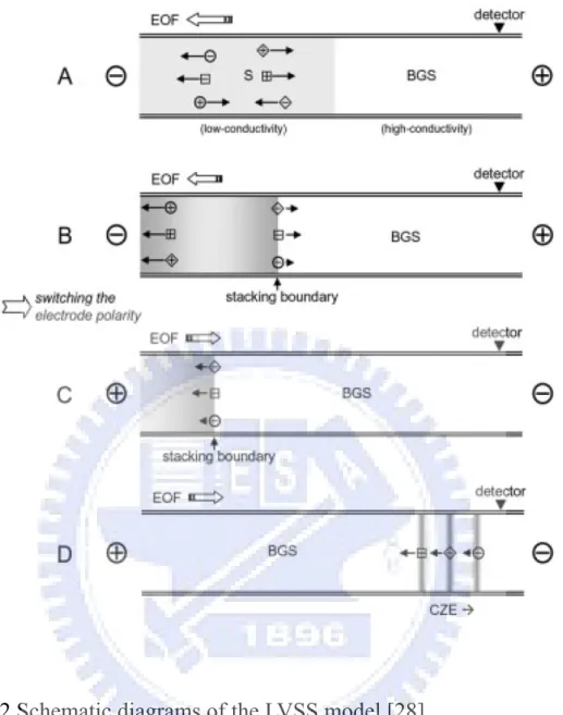Figure 2.2 Schematic diagrams of the LVSS model [28]. 