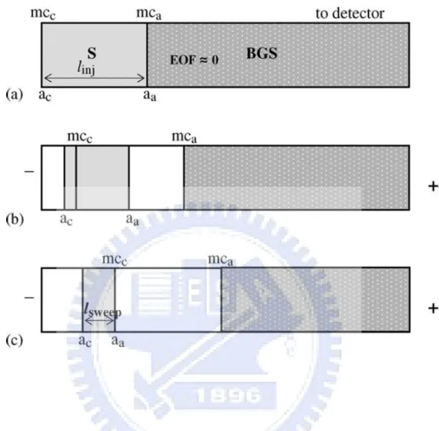 Figure 2.4 Schematic diagrams of sweeping with anionic micelles model [40].  (a) Injection of sample (S) prepared in a matrix having a conductivity similar to  that of the BGS; (b) application of voltage at negative polarity, micelles 