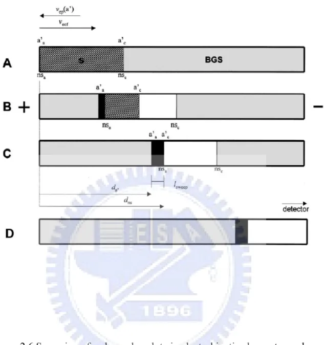 Figure 2.6 Sweeping of a charged analyte in electrokinetic chromatography with  a neutral pseudostationary phase [47]