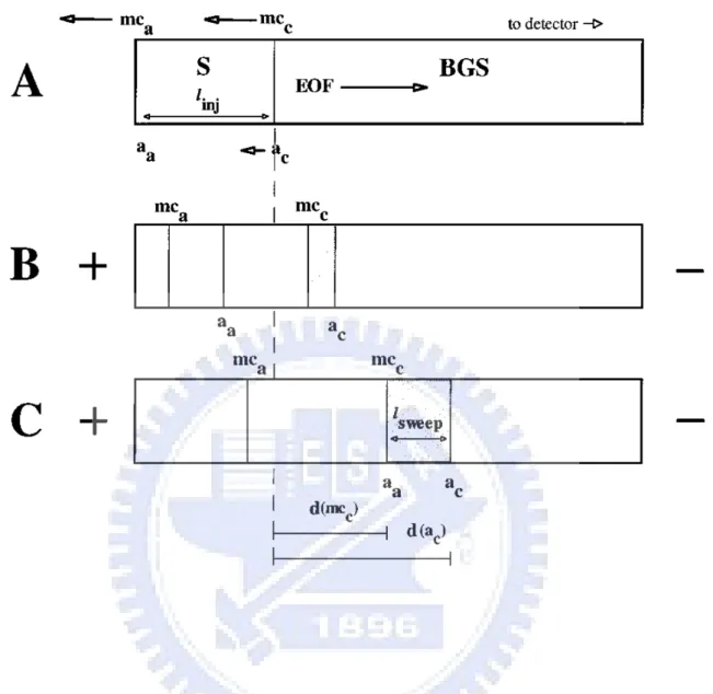 Figure 2.7 Evolution of micelles and neutral analyte molecules during sweeping  in the presence of high EOF [21]