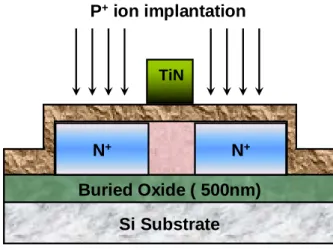 Fig. 2.1 Schematic diagram of the combined TiN gate and Pr 2 O 3  gate dielectric TFT
