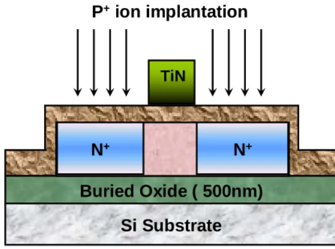 Fig. 3.1 Fabrication process of the combined TiN gate and Pr 2 O 3  gate dielectric TFT  with Fluorine ion implantation