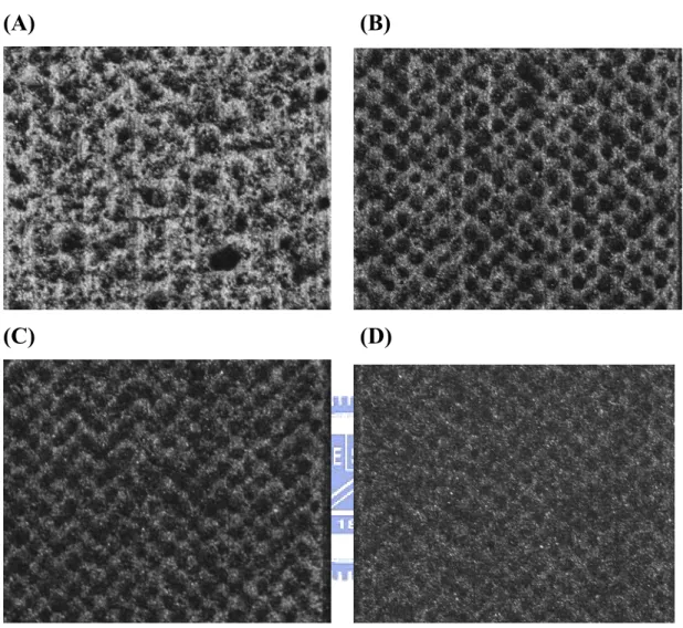 Figure 3. Light micrographs of the surface of SPCE after treating  with plasma of different power   