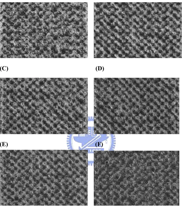 Figure 5. Light micrograph of the surface of SPCE treated with  oxygen plasma   