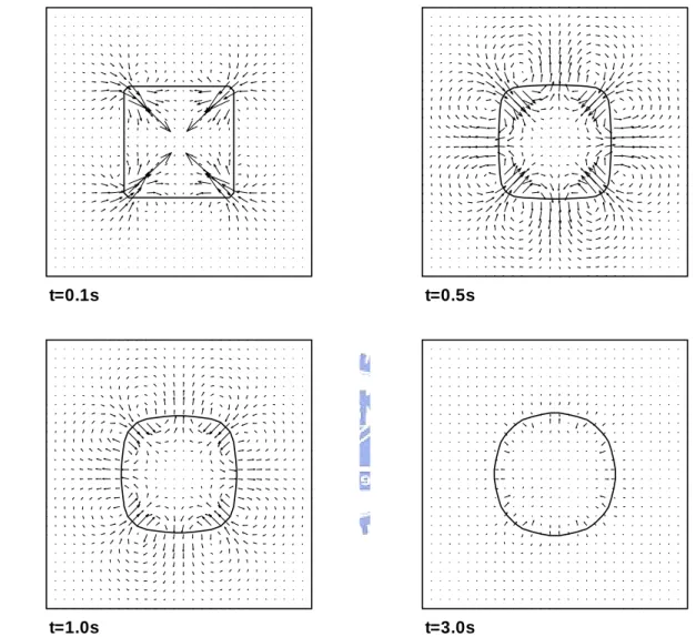 Figure 5.9 Time evolution of the shape changes of a square subjected to surface tension forces