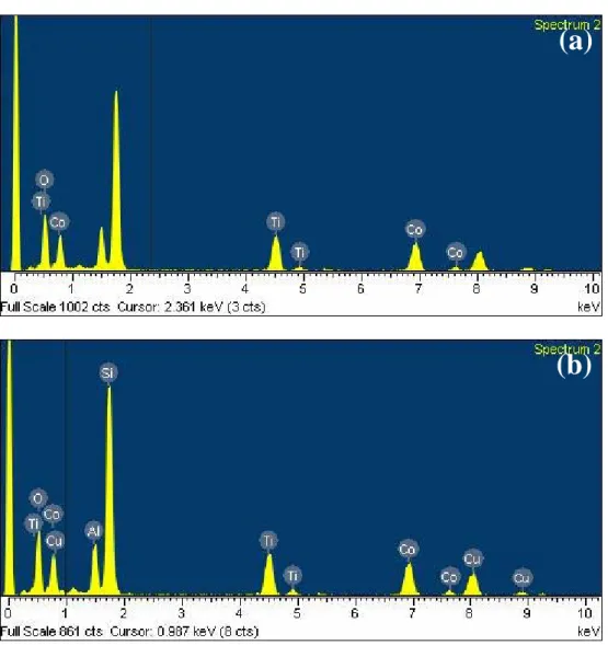 Fig. 3.2   Electron dispersive spectra (EDS), associated with the TEM  image showed in Fig