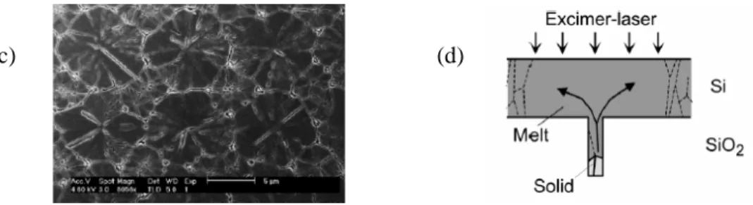Figure 1-5   (a) the  fabrication  process  of  the  grain  filter,  (b)  and  (c)  matrix -array  grains  by  the  grain filter method, (d) the crystallization process in a grain filter.