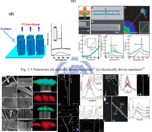 Fig. 1-3 (f) Nanograting  20  (g) Nanoscale photonics integration 21