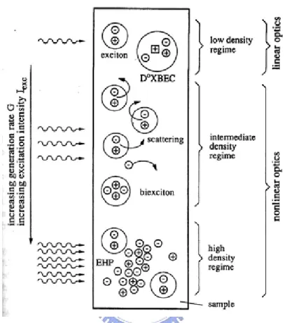Fig. 2-10 The general scenario for many-particle effects in semiconductors 44 