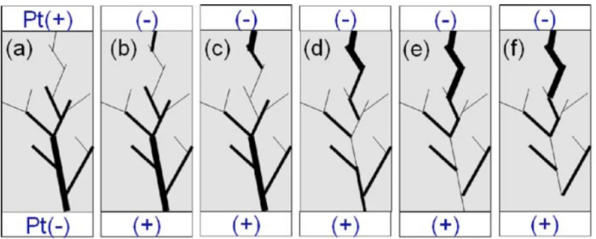 Figure 1.20. Schematic diagram for switching from on state to off state. (a) On state  formed by positive bias on TE