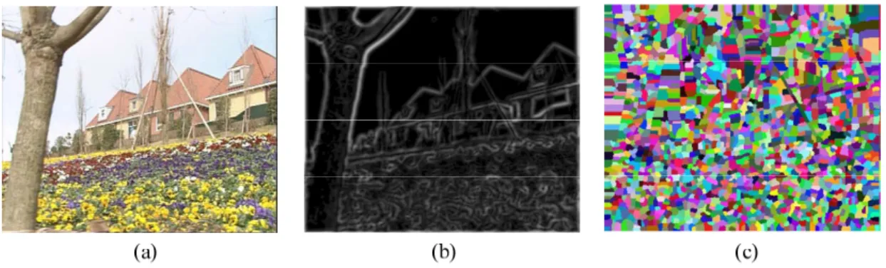 Fig. 3.4. The results of the initial segmentation process. (a) original image. (b)  gradient image