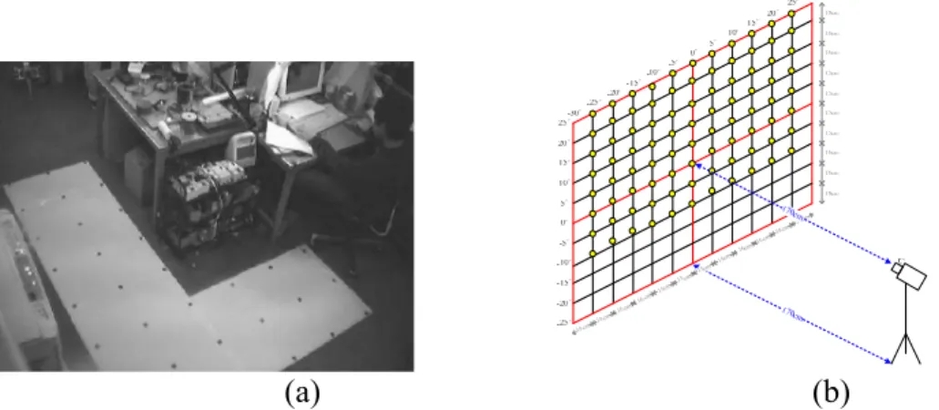 Fig. 1.8 Calibration objects used for mapping table construction. (a) A point pattern  used in Takeshita, et al