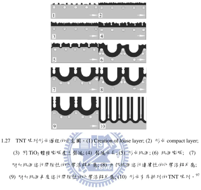 圖 1.27    TNT 陣列形成過程的示意圖。(1) Creation of loose layer; (2)  形成 compact layer;                  (3)  因 TiO 2 體積膨脹產生裂縫; (4)  裂縫成長; (5)  形成坑洞; (6)  坑洞膨脹;    (7)              附函坑洞進行間歇性的化學溶解反應; (8)  內部坑洞進行連續性的化學溶解反應;                (9)  附函坑洞再度進行間歇性的化學溶解反應; (10) 