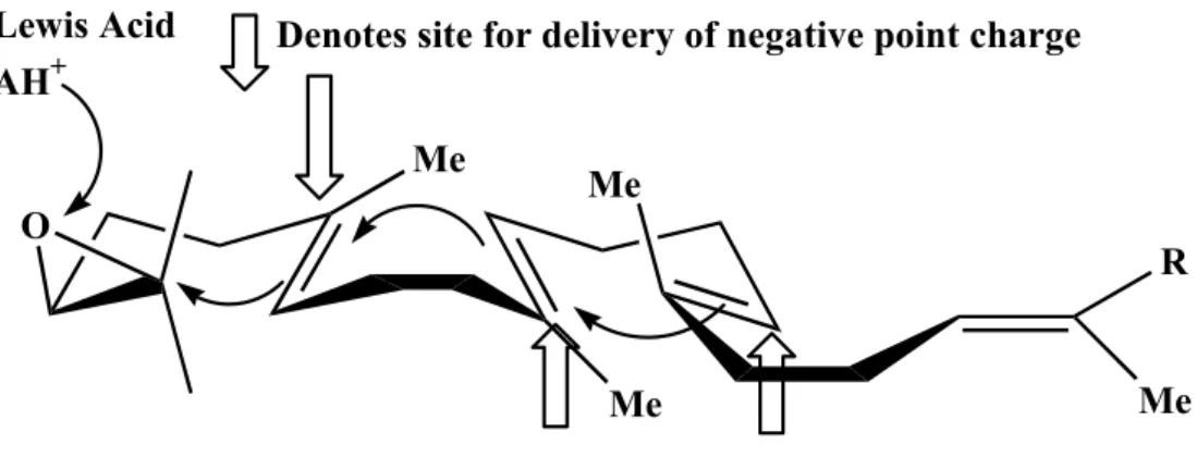Figure 1.13 Johnson proposed three cation-stabilizing auxiliaries in the cyclase. 45, 46RMeO